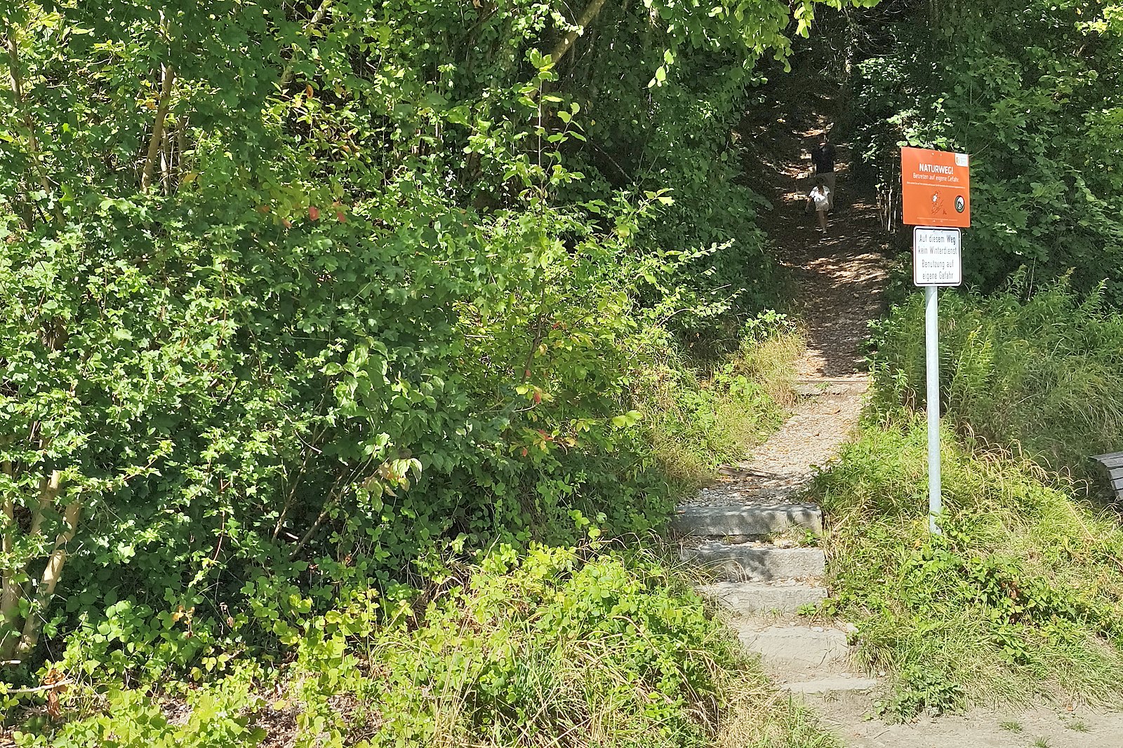Steinstufen des Kreuzpointnersteigs mit Hinweisschild, dicht bewachsener Aufstieg zum Panoramaweg