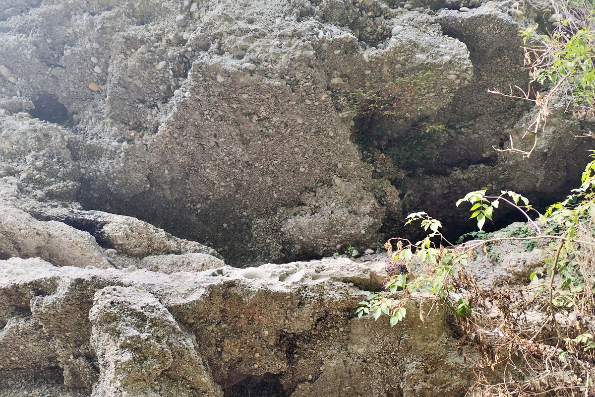 Nagelfluhfelsen mit Höhlungen am Salzachdurchbruch bei Burghausen