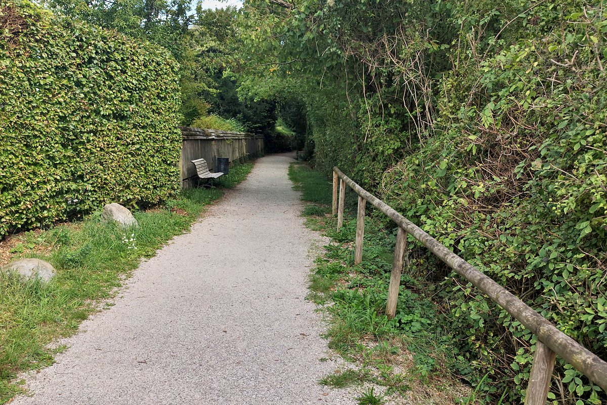 Schmaler Kiesweg zwischen Hecke und Hang, rechts ein Holzgeländer, im Hintergrund eine Bank