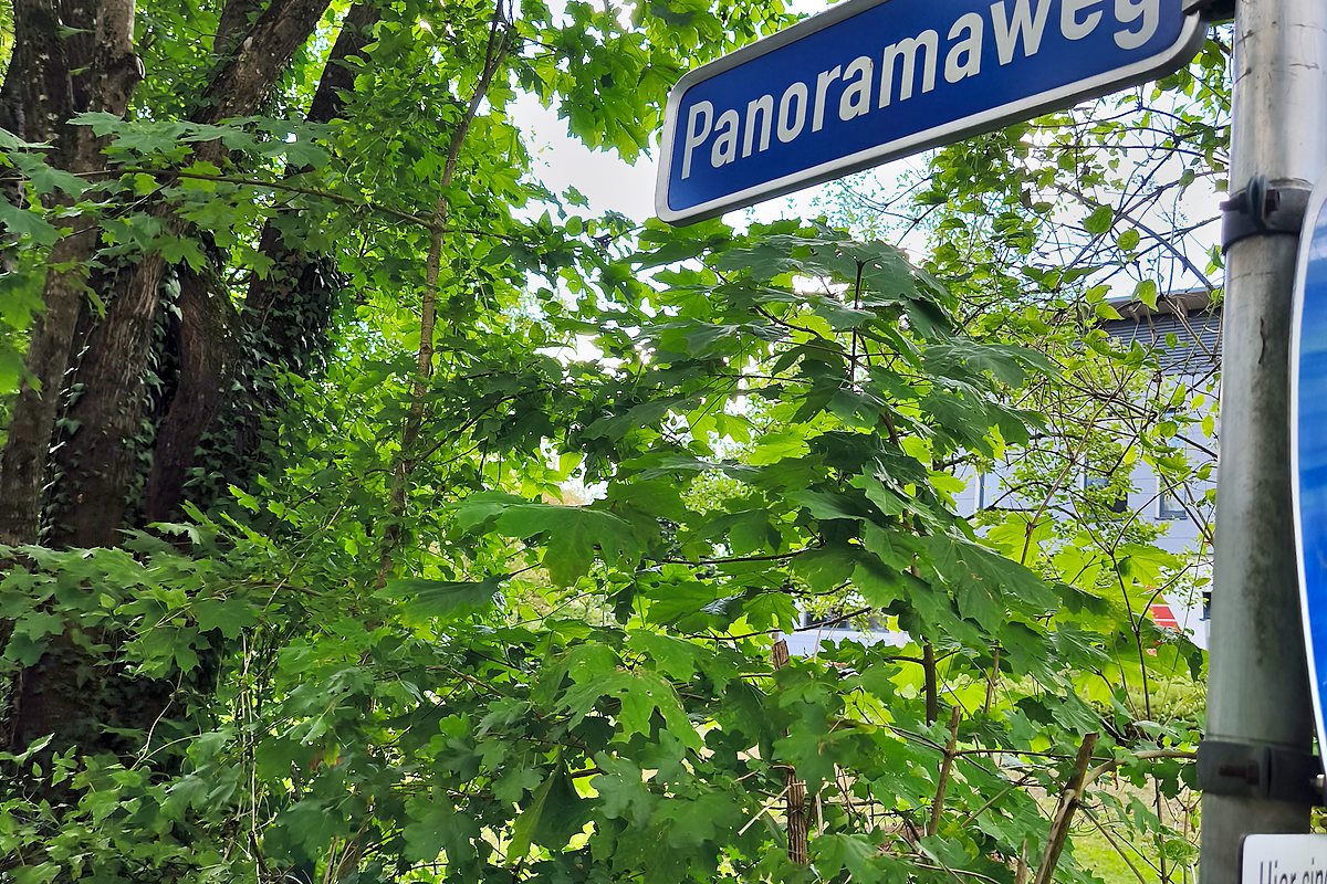 Wegweiser „Panoramaweg“ zwischen dichtem Laub am Burghauser Höhenrücken